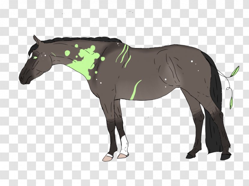 Mustang Stallion Foal Mare Colt Transparent PNG