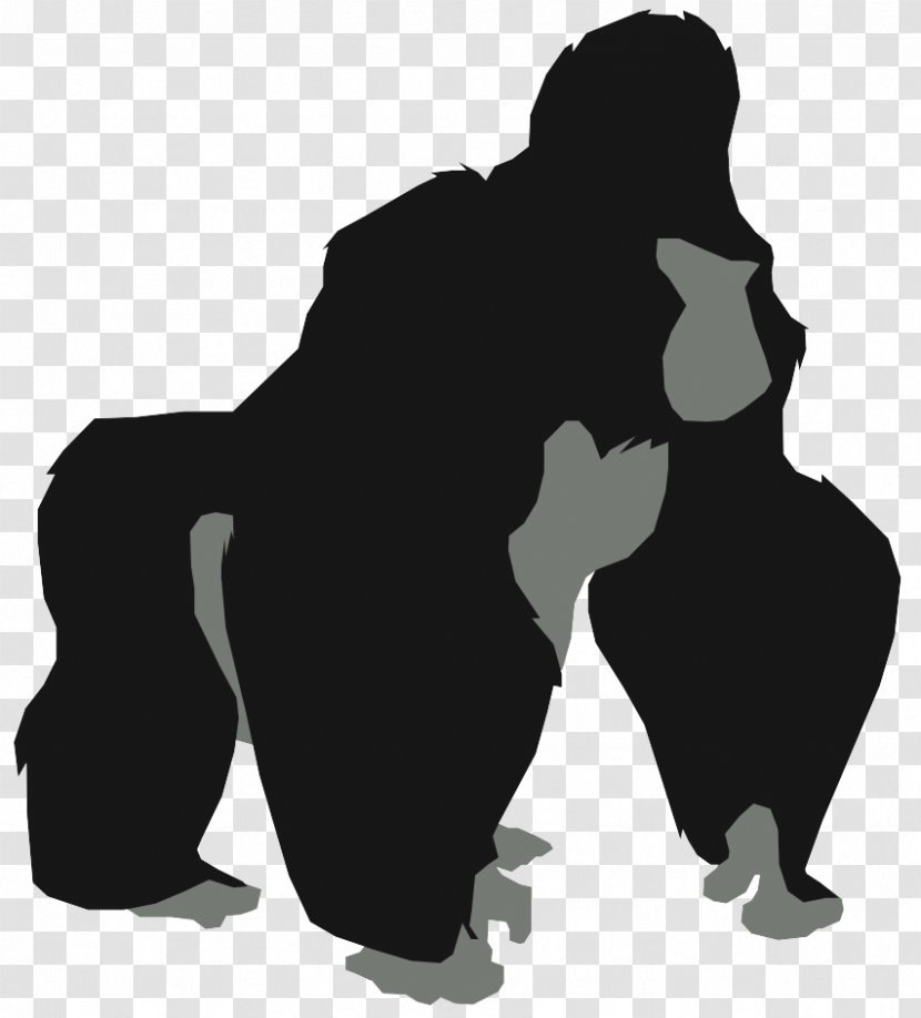 Gorilla Kerchak King Kong Primate Bwindi Impenetrable National Park - Black Transparent PNG