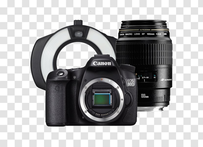 Canon EOS 6D 77D EF-S 18–135mm Lens 70D Digital SLR - Mirrorless Interchangeable Camera Transparent PNG