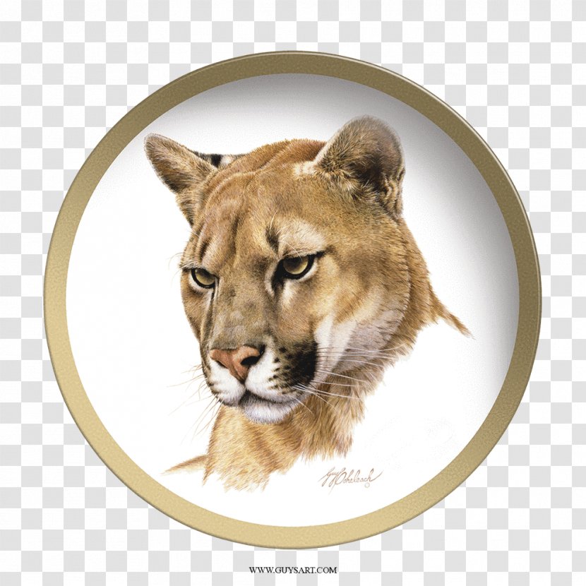 Cougar Tiger Cat Felidae Painting - Like Mammal Transparent PNG