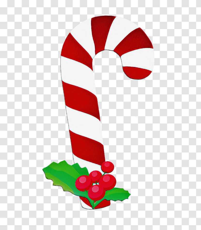 Candy Cane - Holiday - Plant Transparent PNG