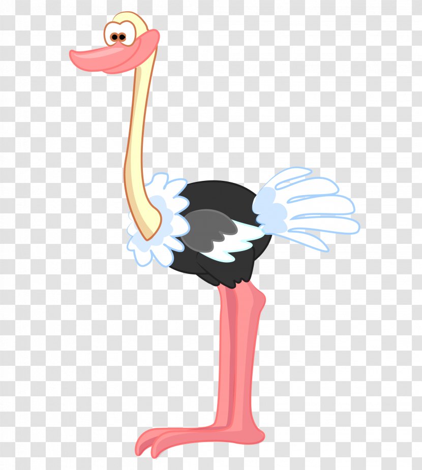 Common Ostrich Drawing Bird Illustration - Vector Cartoon Transparent PNG