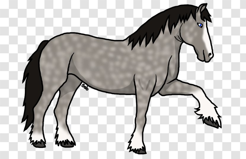Mule Stallion Foal Mare Pony - Organism - Mustang Transparent PNG
