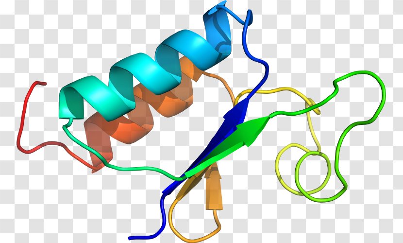 Organism Line Clip Art - Area - Design Transparent PNG