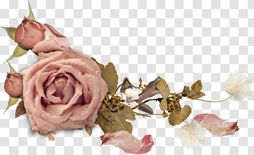 Cut Flowers Rose Desktop Wallpaper Floral Design - Picture Frames - Flower Transparent PNG