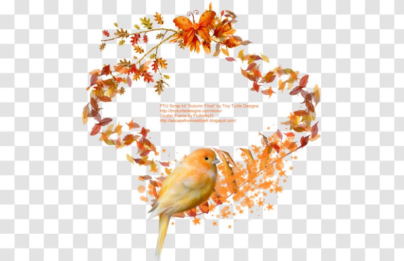 European Robin Beak - Twig - Steampunk Frame Transparent PNG