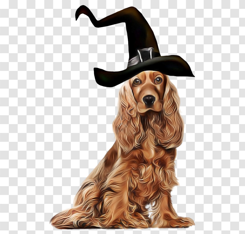 Dog Cocker Spaniel Irish Setter English Cocker Spaniel Spaniel Transparent PNG