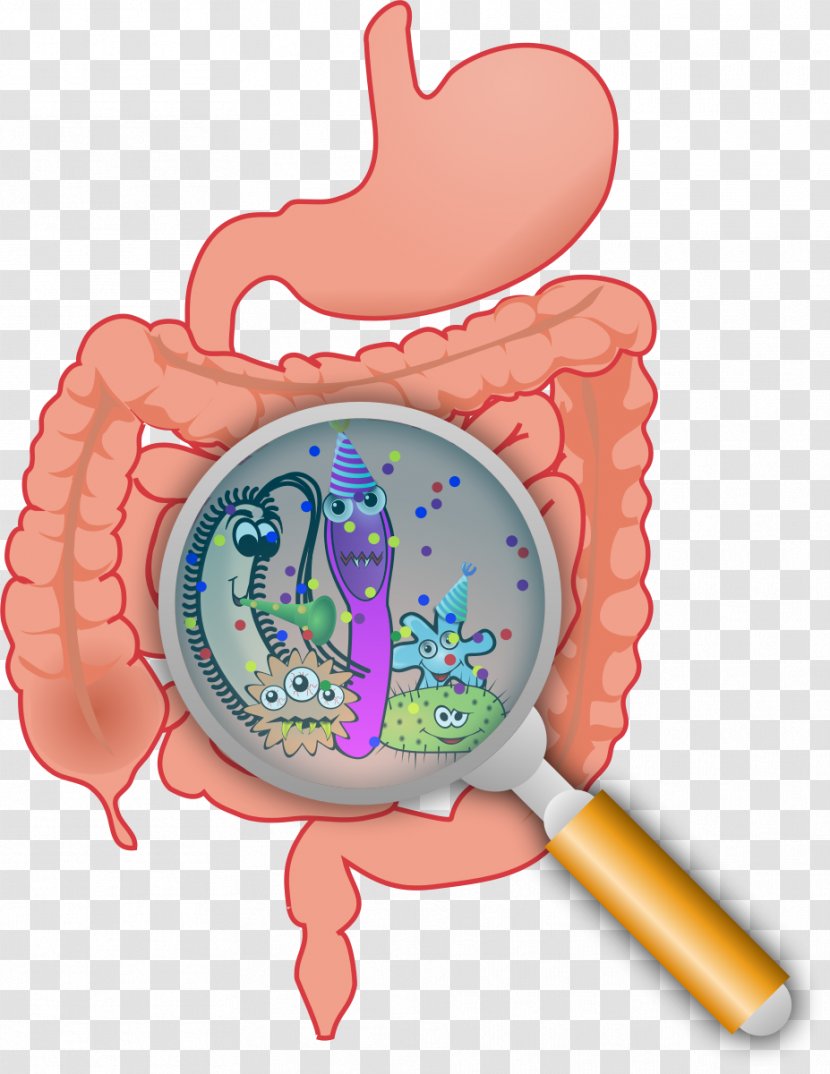 Gastrointestinal Tract Gut Flora Small Intestinal Bacterial Overgrowth Large Intestine - Flower - Moini Transparent PNG