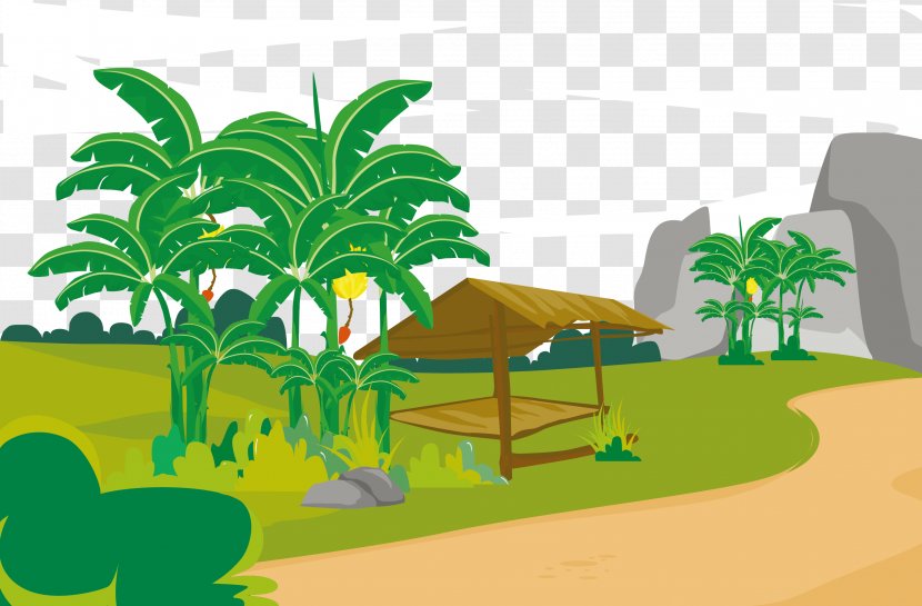 Euclidean Vector Banana Tree Illustration - Drawing - Forest Transparent PNG