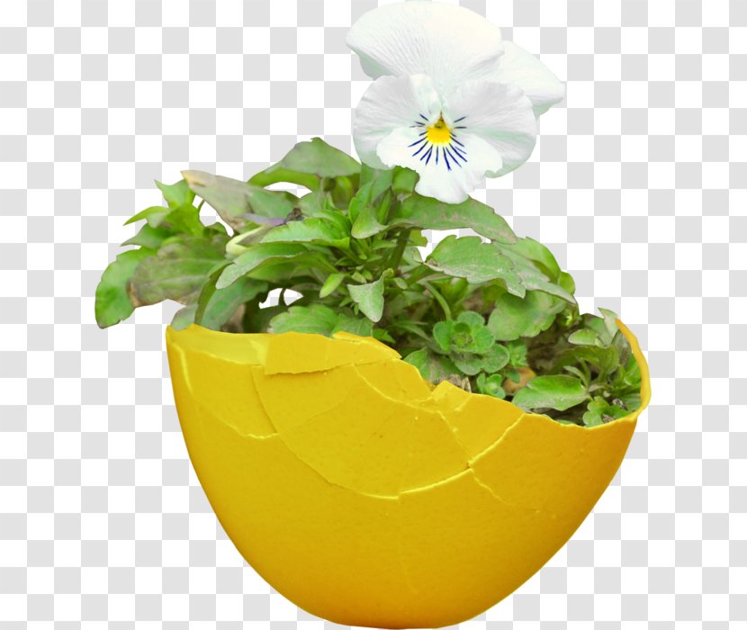 Flowerpot Tulip Clip Art - Yellow - Flower Transparent PNG