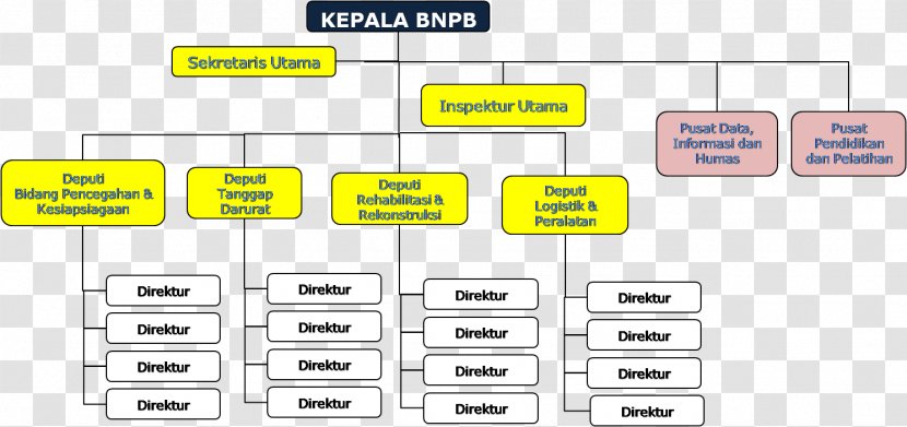 Indonesian National Board For Disaster Management Organizational Structure Emergency - Building Transparent PNG