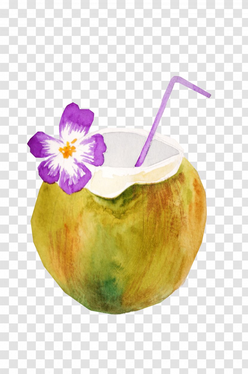 Coconut Milk Fruit Summer Drawing - Hand-painted Transparent PNG
