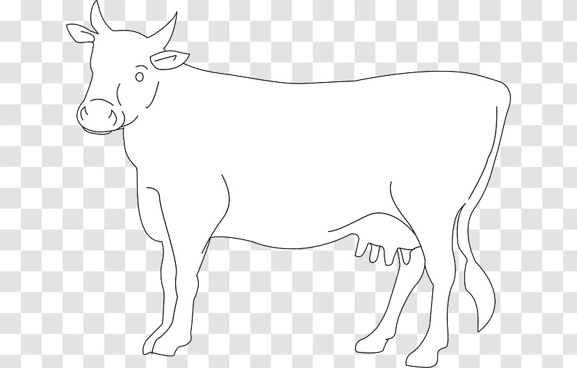 Dairy Cattle Ox Drawing Clip Art - Horn - Cow Transparent PNG