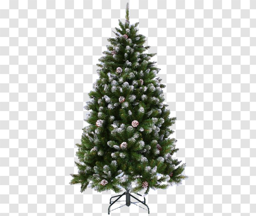 Christmas Tree Spruce Conifer Cone Pine - Evergreen - New Year Transparent PNG