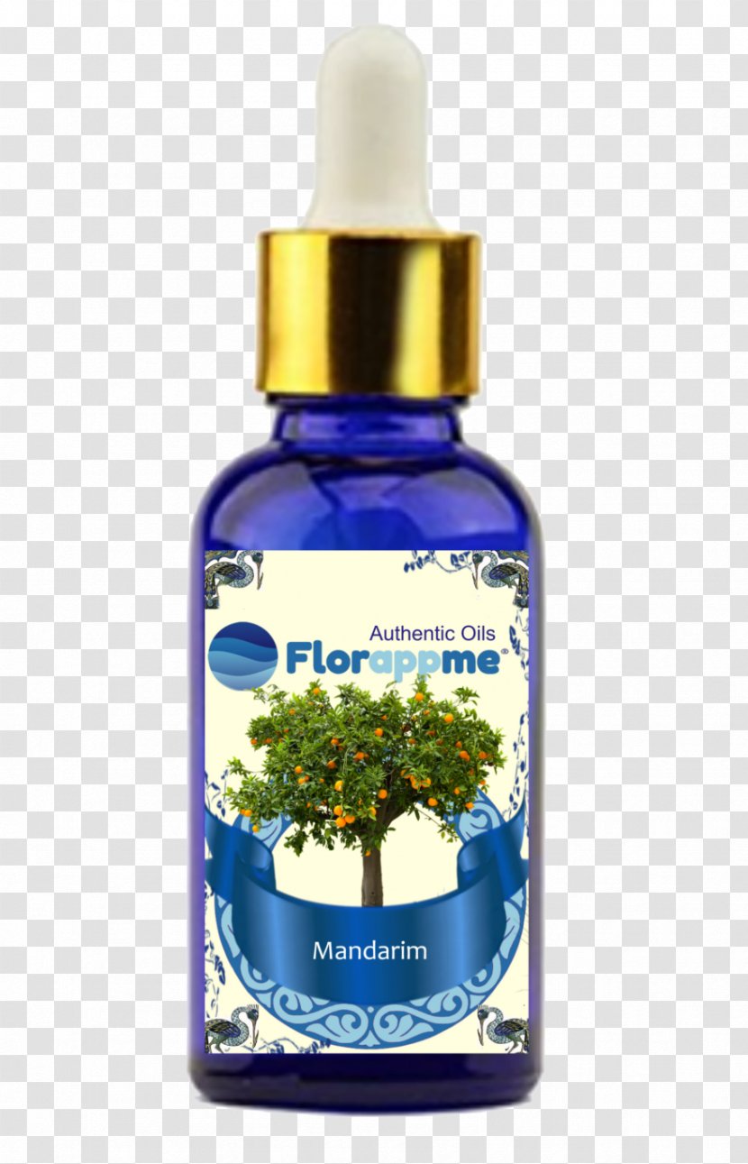 Essential Oil Aroma Agathosma Betulina Coriander Herb - Sacred Lotus - Cinnamon Basil Transparent PNG