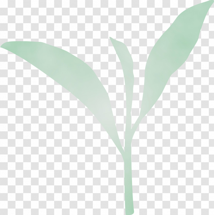 Leaf Green Plant Flower Lily Of The Valley Transparent PNG