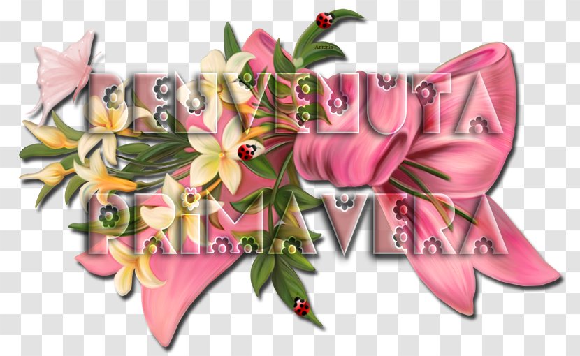 Floral Design Cut Flowers Flower Bouquet Pink M - Petal Transparent PNG