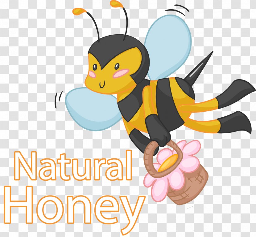 Honey Bee - Pollinator - Vector Hand Painted Bees Transparent PNG