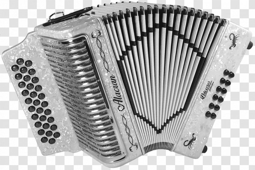 Diatonic Button Accordion Mangala Sutra Free Reed Aerophone - Watercolor Transparent PNG