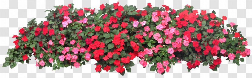 Flower Garden Grow Light Raised-bed Gardening - Raisedbed - Balcony Transparent PNG