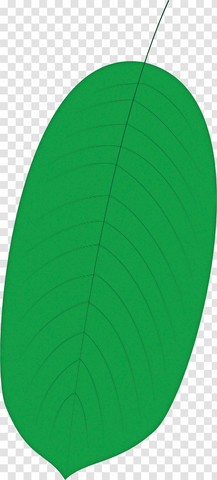 Leaf Green Biology Plant Structure Science Transparent PNG