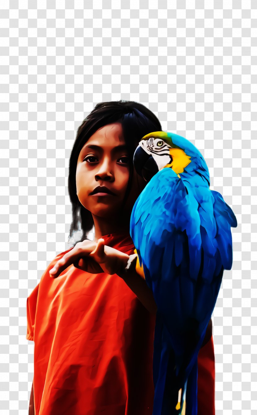 Bird Parrot - Cobalt Blue Transparent PNG