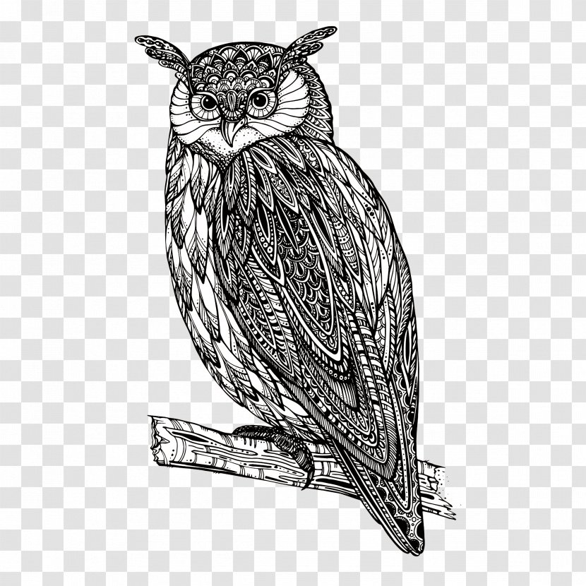 Owl Royalty-free Transparent PNG
