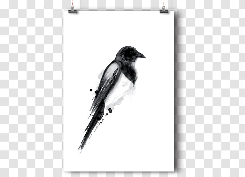Poster Art Illustrator Printmaking - Beak - Design Transparent PNG