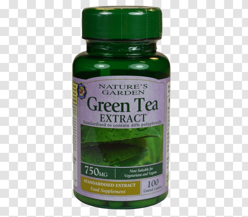 Dietary Supplement Garcinia Gummi-gutta Green Tea Capsule Tablet Transparent PNG