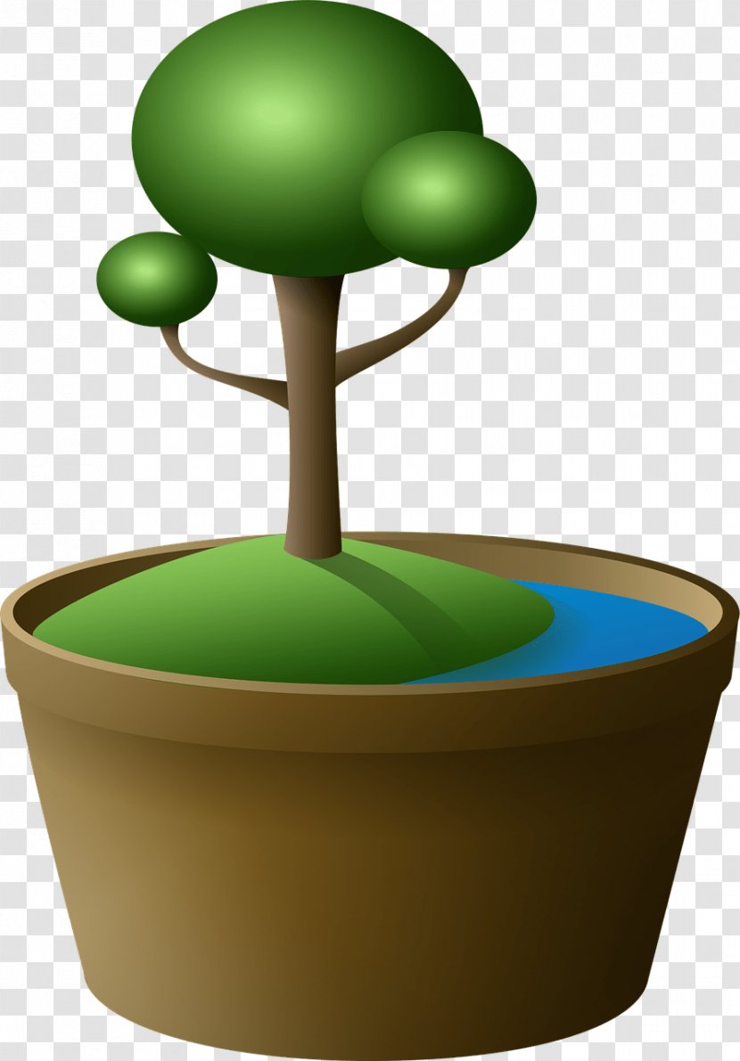 Tree - Bonsai - Pot Transparent PNG