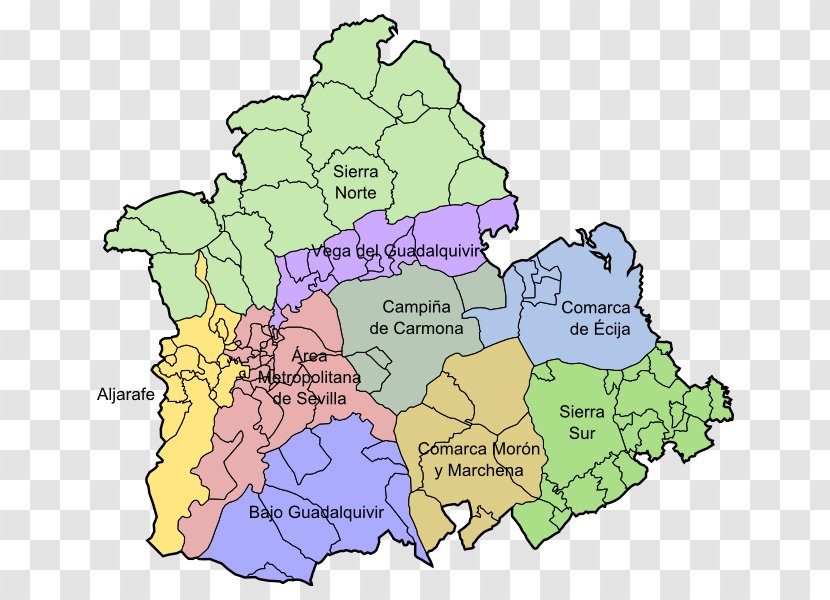Seville Carmona, Spain Los Palacios Y Villafranca Utrera Constantina - Area - Map Transparent PNG