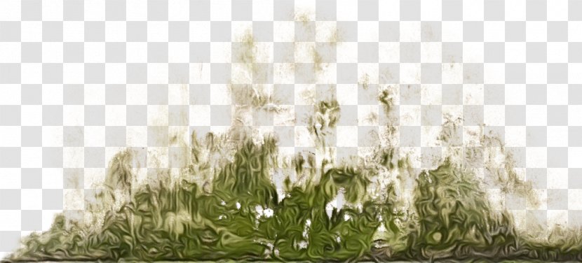 Family Tree Background - Grass - Meadow Flower Transparent PNG