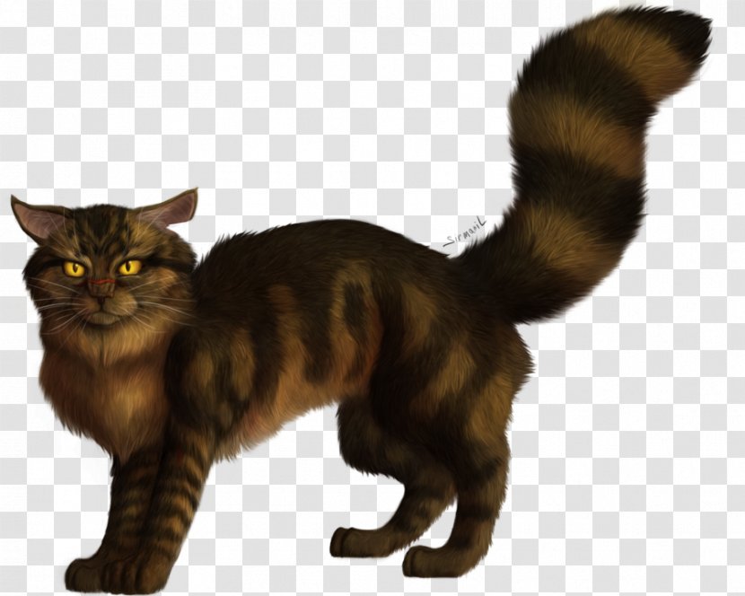 Domestic Short-haired Cat Tigerstar Whiskers Warriors - Deviantart Transparent PNG