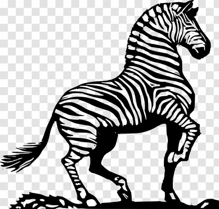 Drawing Line Art Zebra Coloring Book Clip - Pack Animal Transparent PNG