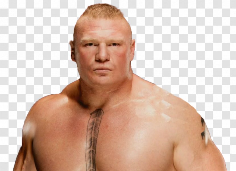 Brock Lesnar Survivor Series Professional Wrestler Wrestling Sin Cara - Flower Transparent PNG