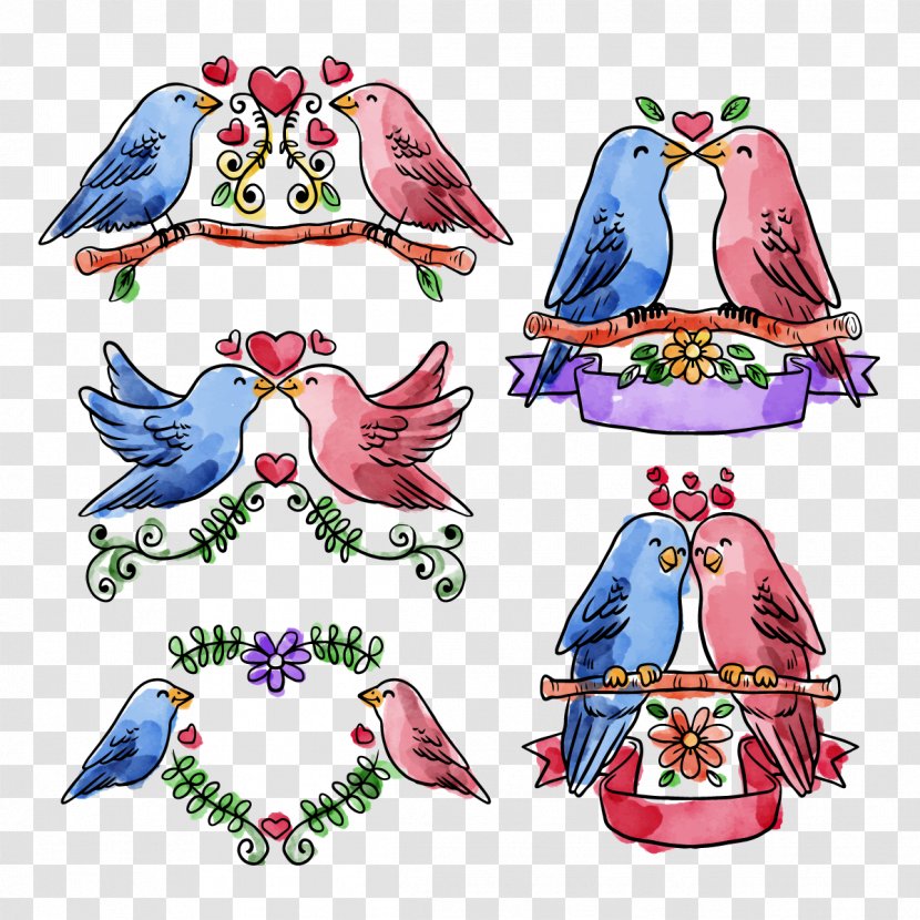 Rosy-faced Lovebird Clip Art - Rosyfaced - Vector Collection Love Birds Transparent PNG