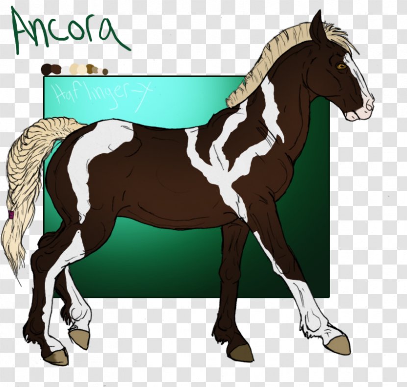 Mane Foal Stallion Mustang Mare - Horse Harnesses Transparent PNG
