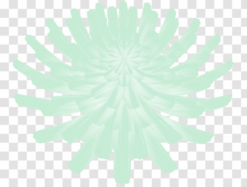 Flower Cut Flowers Chelone Petal Cartoon Transparent PNG