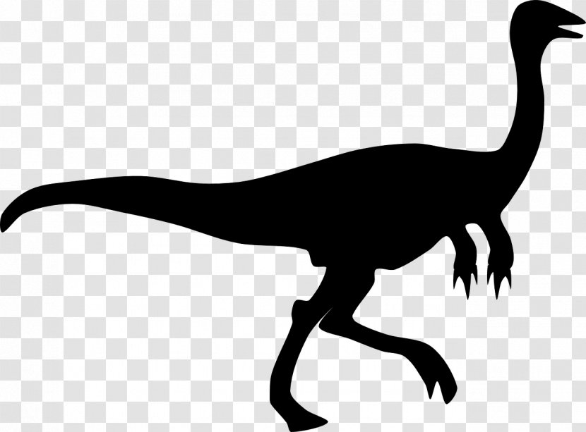 Velociraptor Tyrannosaurus Dinosaur Gallimimus Transparent PNG