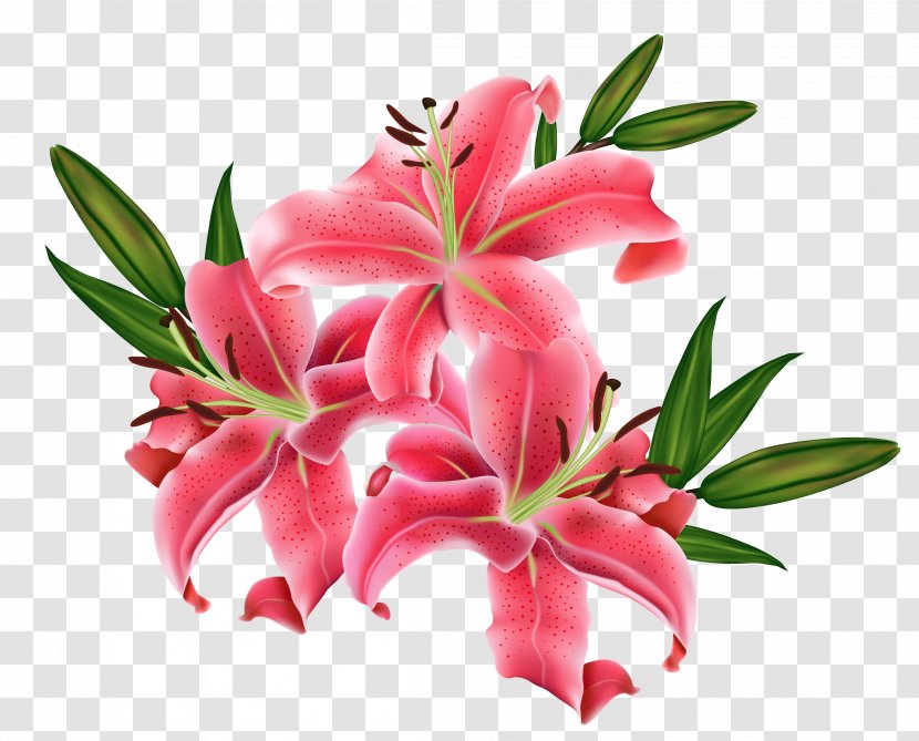 Tiger Lily Lilium Bulbiferum Flower Clip Art - Bouquet - Red Transparent PNG