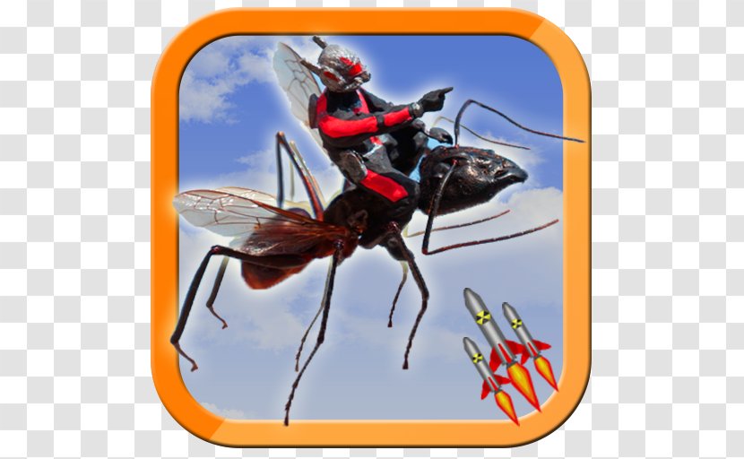 Wasp Slinkachu: Miniaturesque Ant-Man Art Marvel Comics - Installation - Ant World Transparent PNG