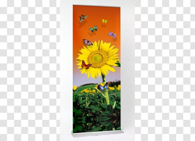 Printing Web Banner Advertising - Display Stand - Company Roll-up Transparent PNG