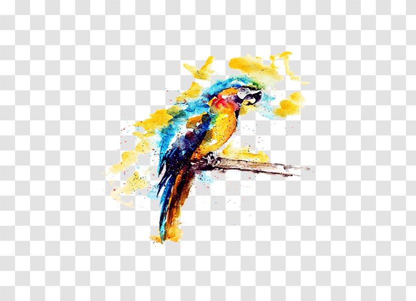 Budgerigar Parrot Watercolor Painting Illustration - Macaw - Yellow Transparent PNG