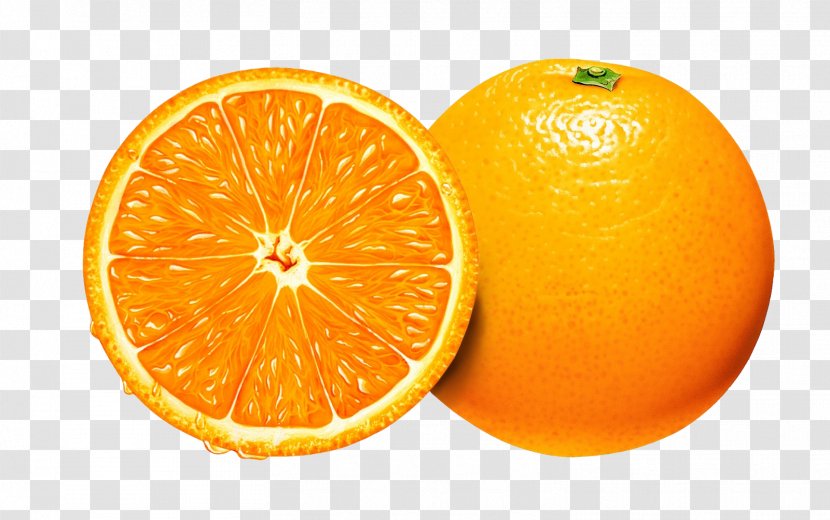 Orange Clip Art - Tangelo Transparent PNG