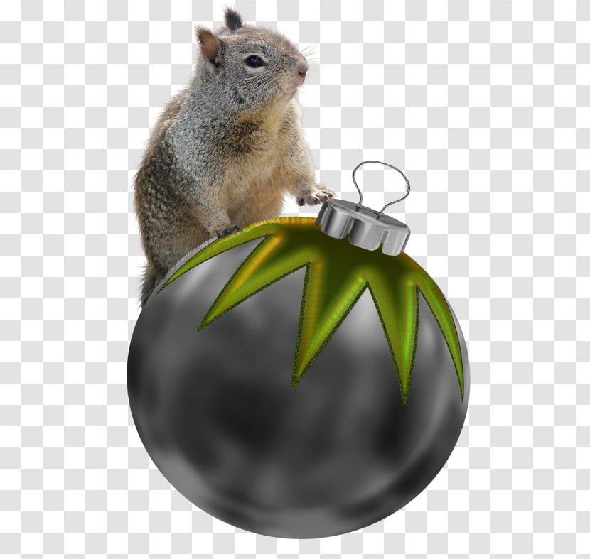 Chipmunk Squirrel Christmas Decoration Ornament - Fox Transparent PNG