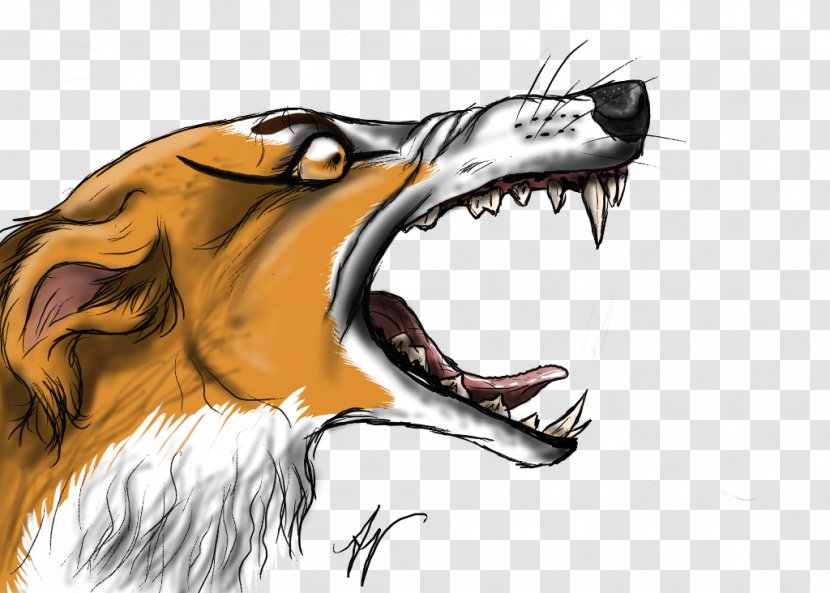 Lion Mouth Dog Snout Canidae - Carnivoran Transparent PNG
