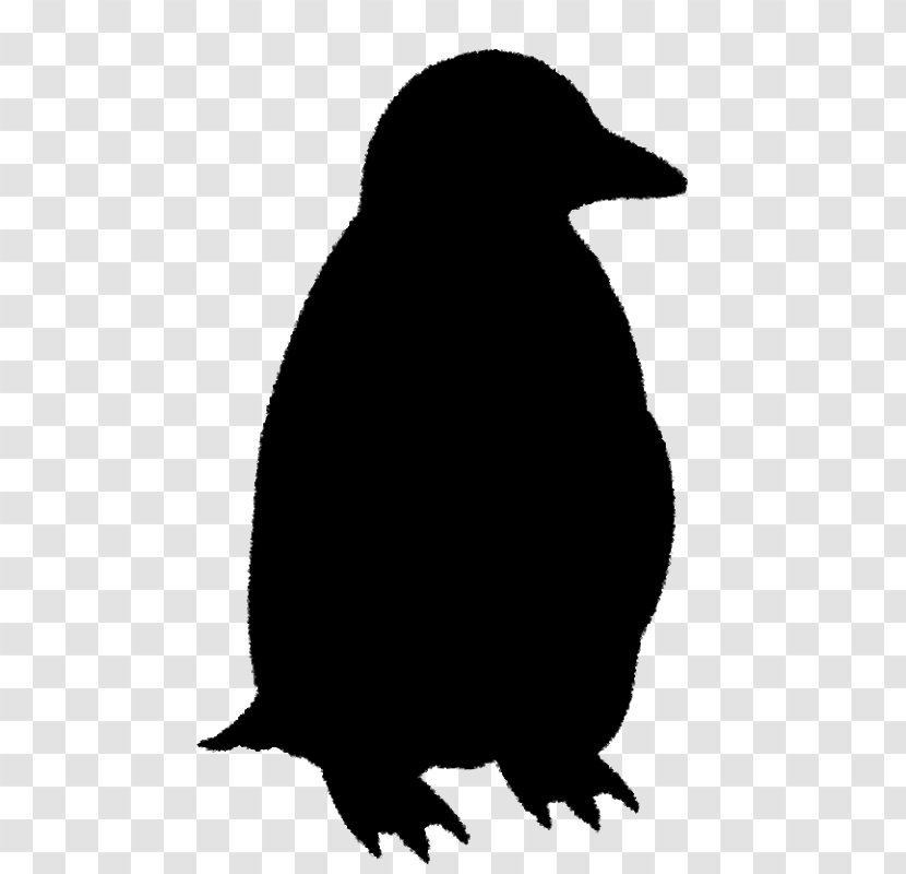 Penguin Clip Art Fauna Beak Silhouette - Bird - Gentoo Transparent PNG