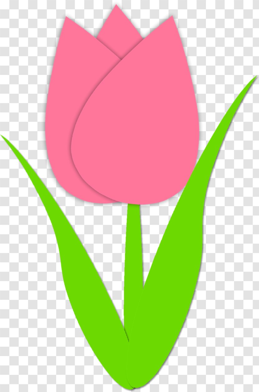 Tulip Download Clip Art - Petal - Tulips Transparent PNG