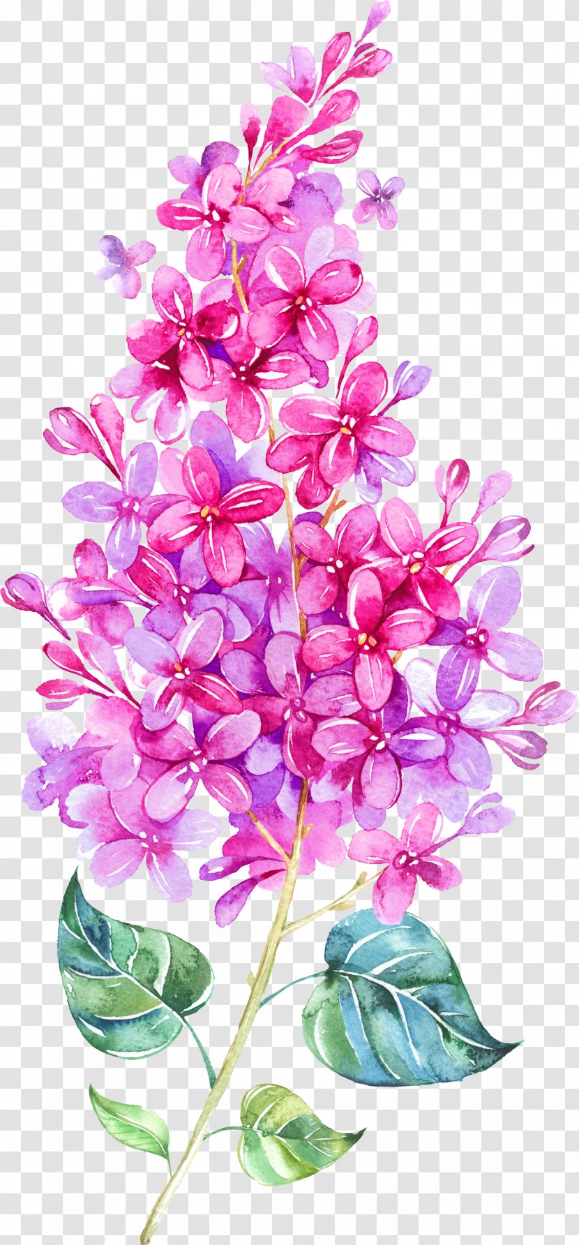 IPhone 6 Watercolor Painting Lilac Clip Art - Plant Stem - Floating Flower Transparent PNG