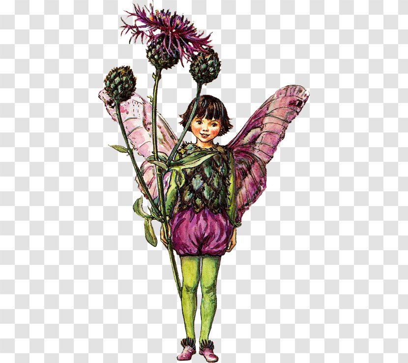 The Book Of Flower Fairies Tooth Fairy Tale - Insect Transparent PNG